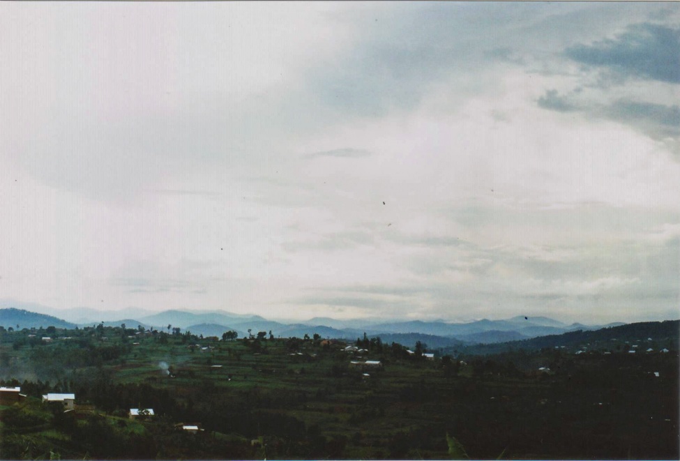 Ein Foto von einer hügeligen grünen Landschaft und einzelnen Häusern in Ruanda.