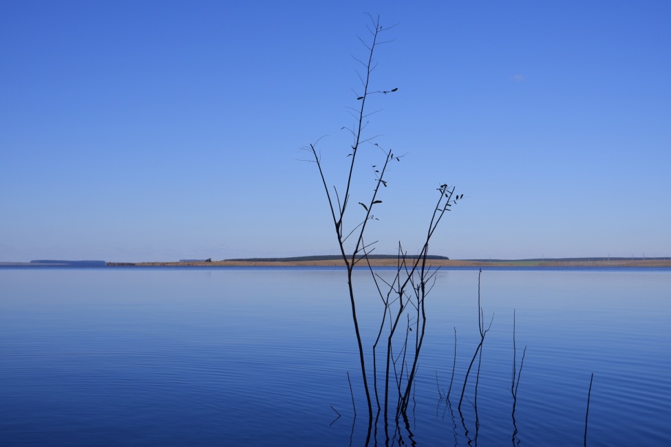 Ein Foto von einem stillen Gewässer, das den blauen Himmel spiegelt. Im Vordergrund ragt ein Ast hervor.