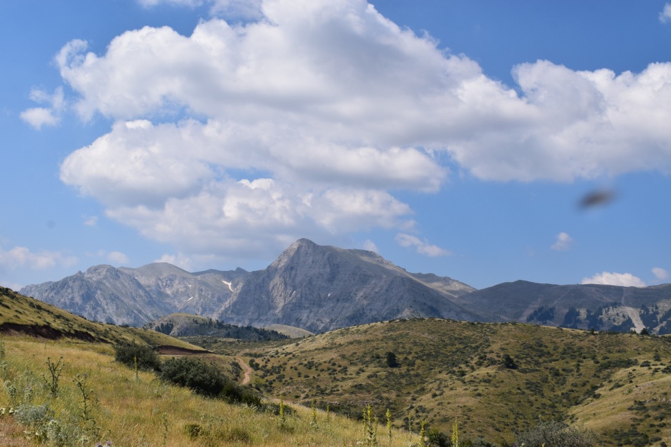 Ein Foto von einer grünen Berglandschaft.