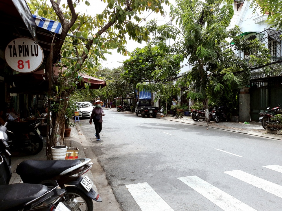 Ein Foto von einer Straße in Vietnam. Links und rechts sieht man die Häuser und viele tropische Pflanzen.