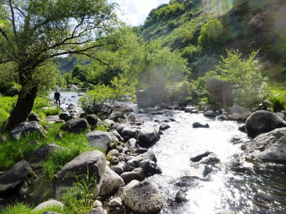 Ein Foto von einem Fluss irgendwo in einer grünen Berglandschaft.