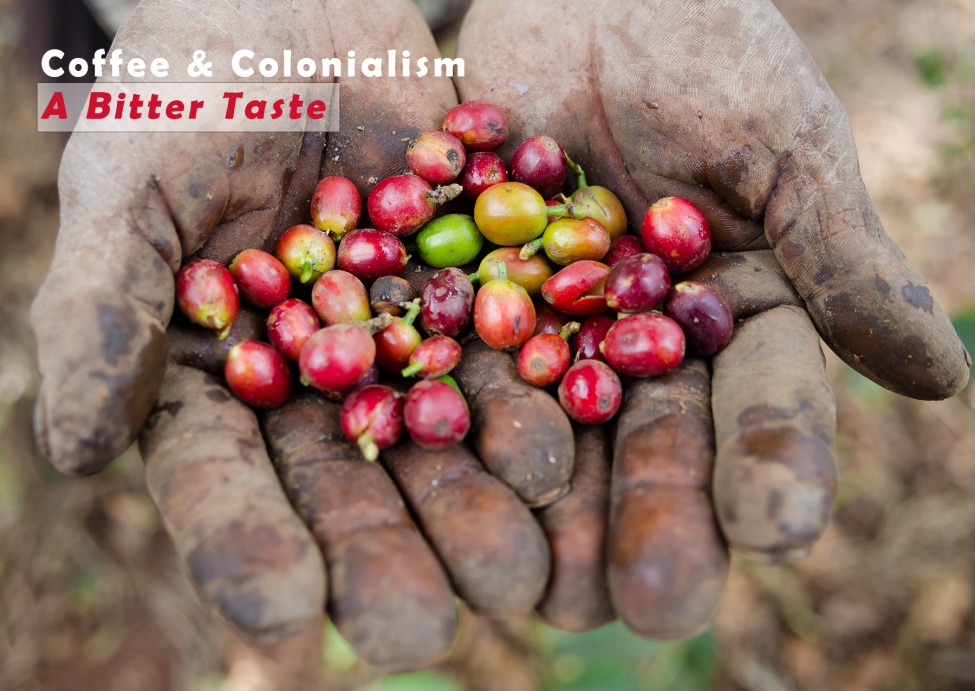 Zwei Hände einer schwarzen Person halten Kaffeekirschen. Darüber steht "Coffee & Colonialism. A Bitter Taste"