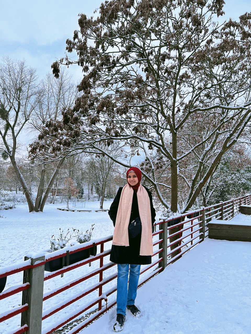 Hend vor verschneiter Landschaft.