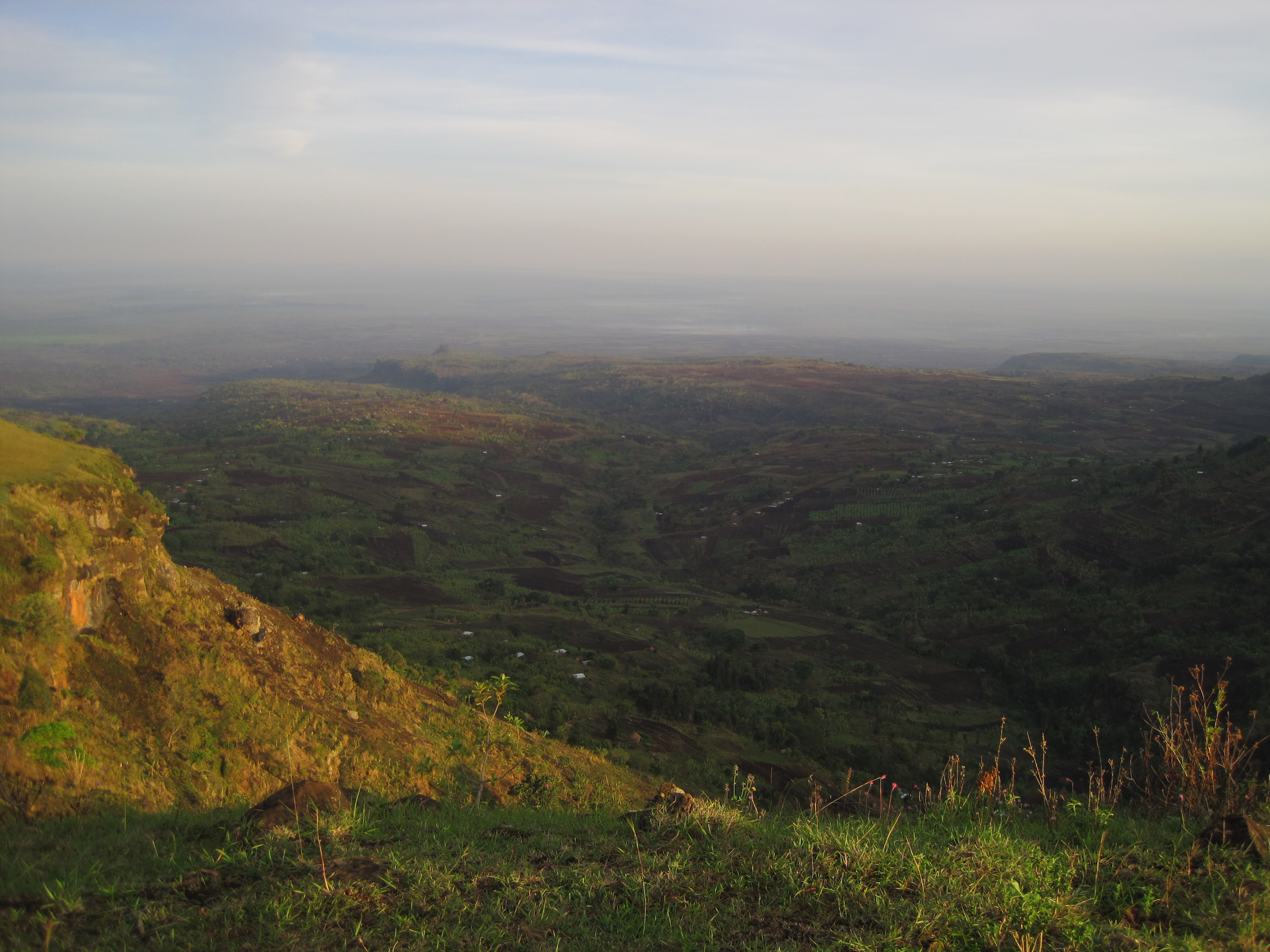 Eine hügelige, grüne Landschaft