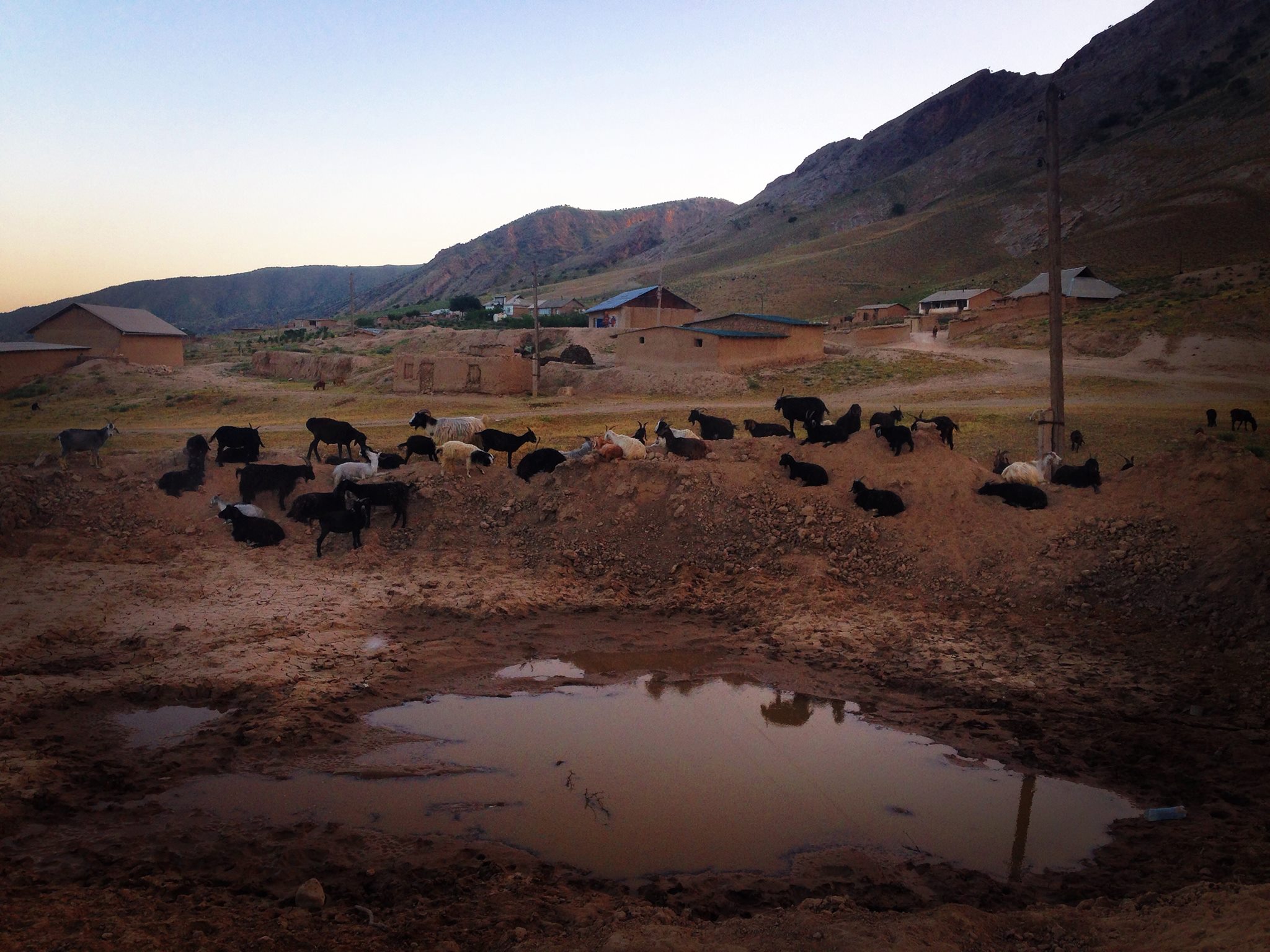 Das Bild zeigt eine ländliche Szenerie in einer bergigen Region von Tadschikistan. Im Vordergrund befindet sich eine Gruppe von Ziegen, die um eine wassergefüllte Senke versammelt sind. Der Boden ist trocken und staubig, was auf ein arides oder halbtrockenes Klima hinweist. Im Hintergrund sind mehrere einfache Gebäude zu sehen, die aus Lehm oder Stein gebaut zu sein scheinen. Die Hügel oder Berge im Hintergrund ragen in den Himmel, der klar ist und auf die beginnende Abenddämmerung hindeutet. 