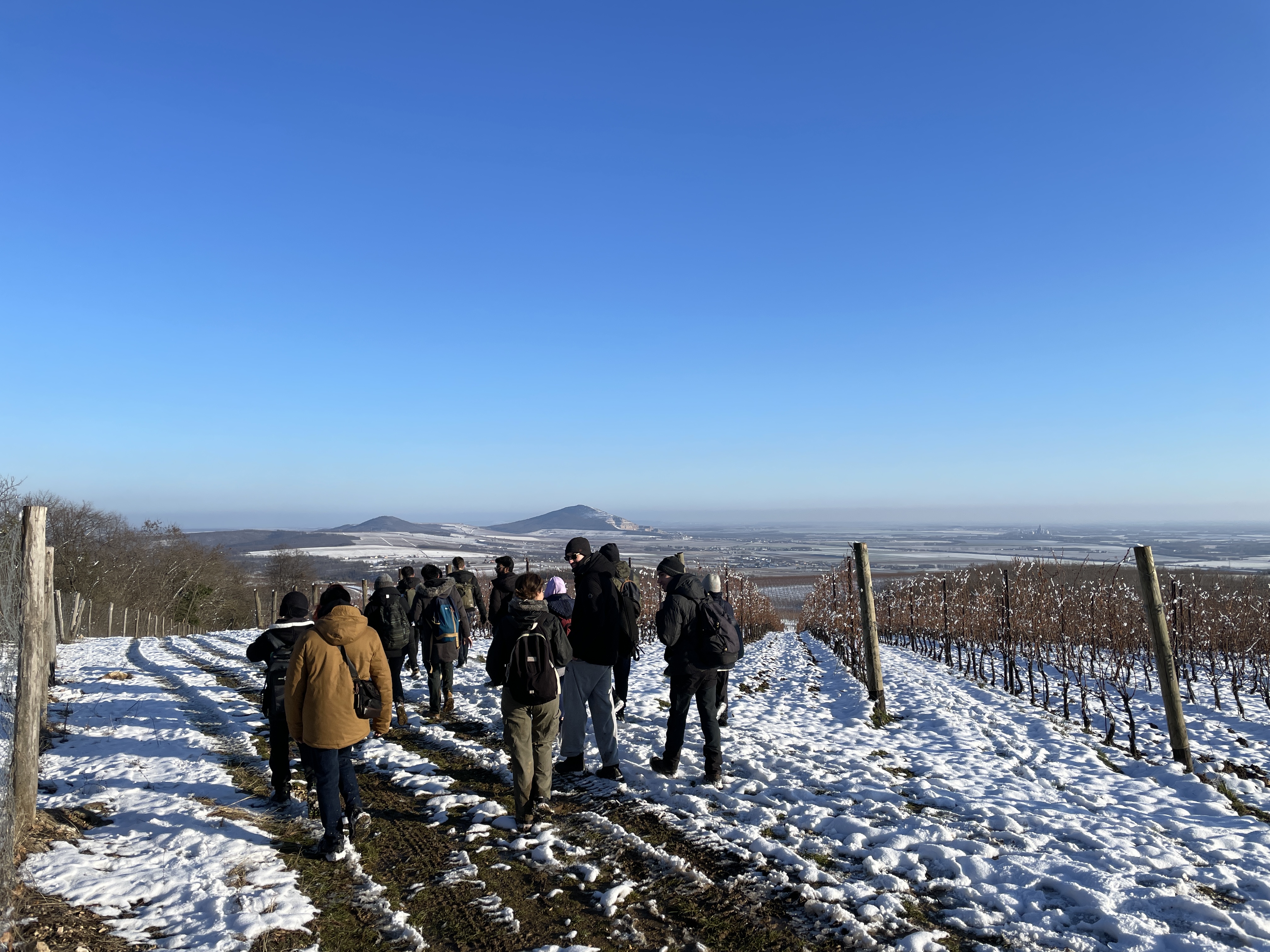 Das Bild zeigt eine Gruppe von Menschen, die einen verschneiten Weg entlang wandern, der durch eine ländliche, hügelige Landschaft führt. Die Umgebung ist von schneebedeckten Feldern und Weinbergen umgeben, und die Berge am Horizont ragen in den klaren blauen Himmel. Die Wanderer sind warm eingepackt in Winterkleidung, was auf kaltes Wetter hinweist. Der Himmel ist strahlend blau, und die klare Sicht erlaubt es, weit in die Landschaft zu blicken.